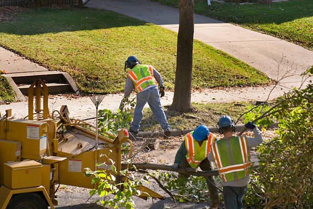 Best Commercial Tree Services  in Oak Trail Shores, TX